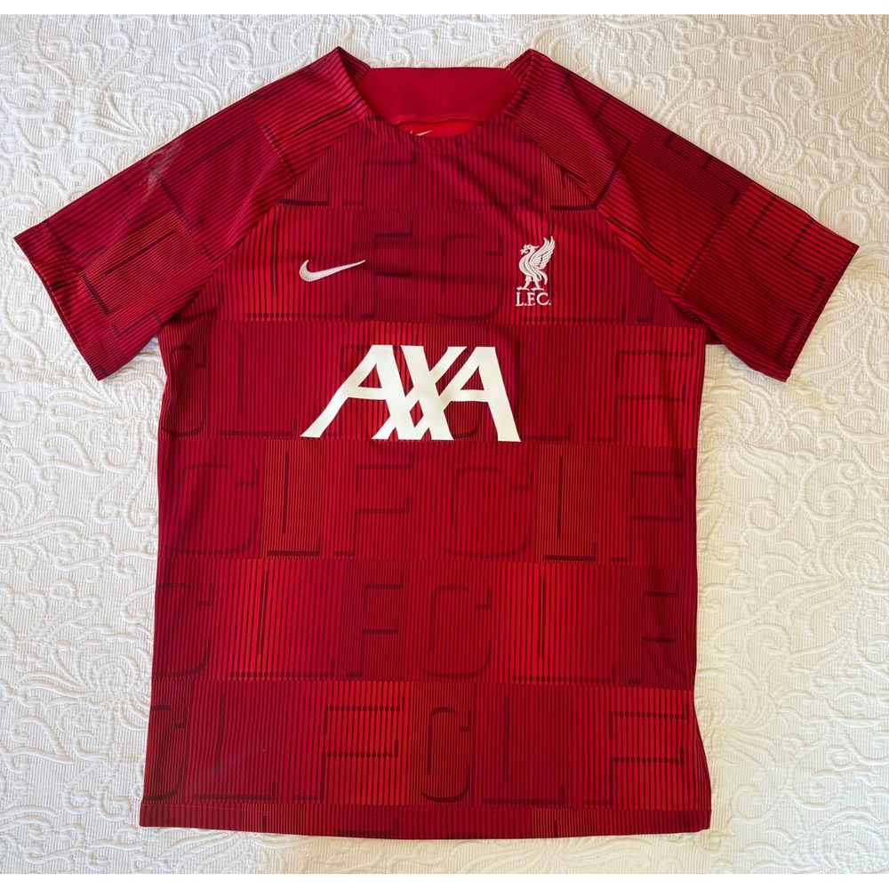 Nike Mens Liverpool FC 2023-24 Academy Pro Pre-Match Jersey Red
